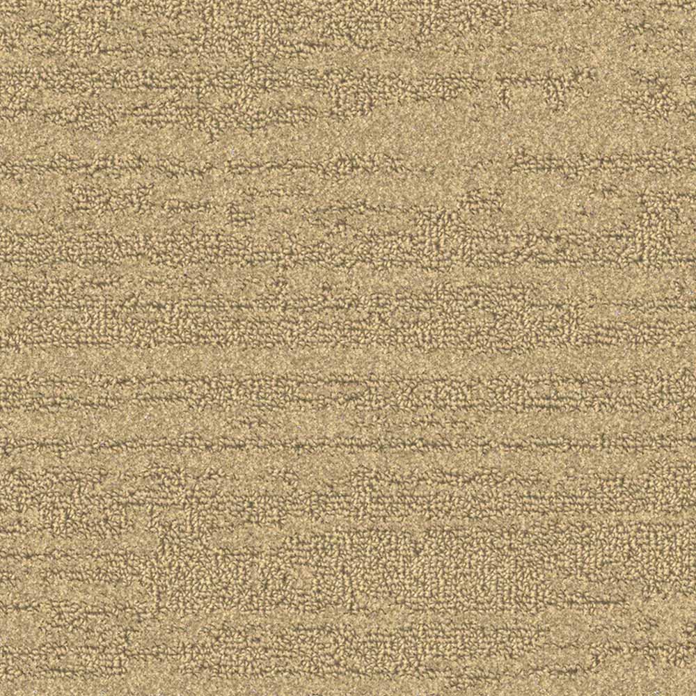 Balsan Sierra 311 Broadloom Carpet from DCTUK
