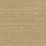 Balsan Sierra 311 Broadloom Carpet from DCTUK