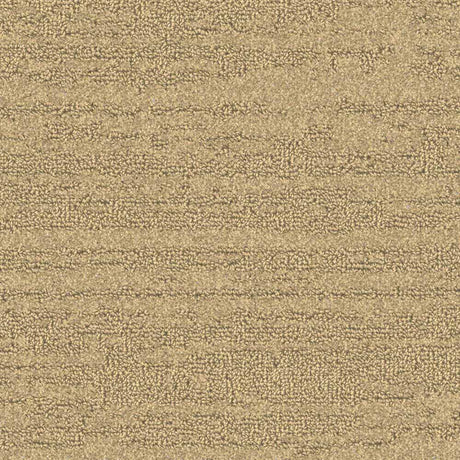 Balsan Sierra 311 Broadloom Carpet from DCTUK