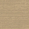 Balsan Sierra 621 Broadloom Carpet from DCTUK