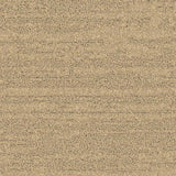 Balsan Sierra 621 Broadloom Carpet from DCTUK