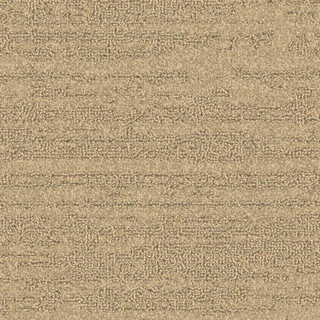 Balsan Sierra 621 Broadloom Carpet from DCTUK