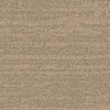 Balsan Sierra 741 Broadloom Carpet from DCTUK