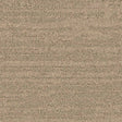 Balsan Sierra 741 Broadloom Carpet from DCTUK