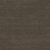 Balsan Sierra 771 Broadloom Carpet from DCTUK