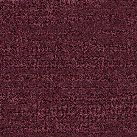 Balsan Sierra 881 Broadloom Carpet from DCTUK