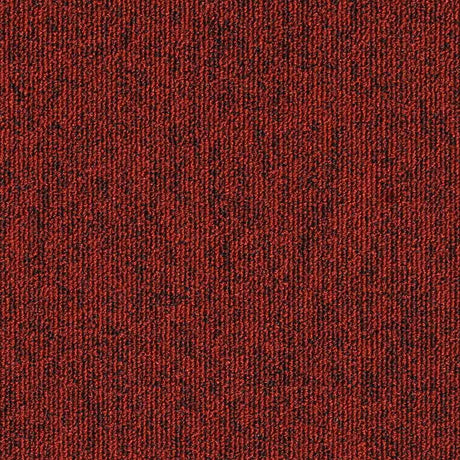 Balsan Winter 575 Carpet Tiles - DCTUK
