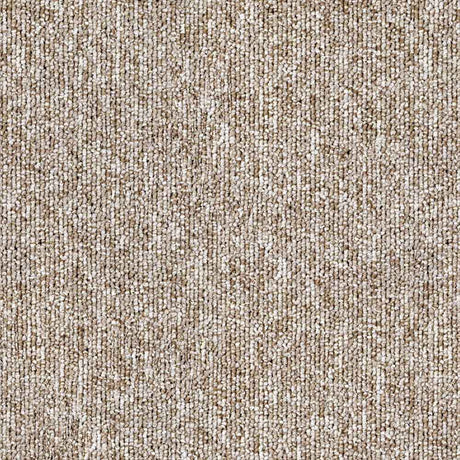 Balsan Winter 620 Carpet Tiles - DCTUK