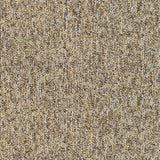 Balsan Winter 640 Carpet Tiles - DCTUK
