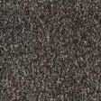 Balsan Winter 968 Carpet Tiles - DCTUK