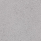 Forbo Allura 55 Flex Light Cement 63632FL5