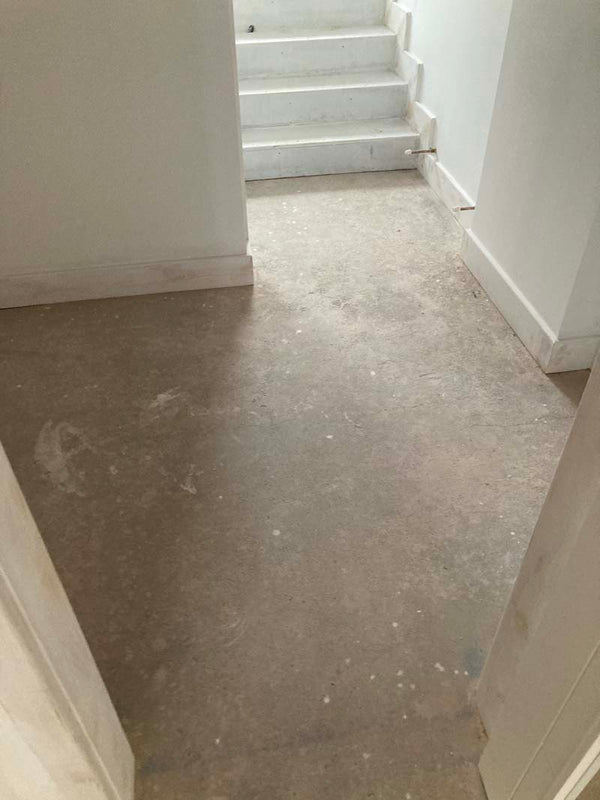 Before photo 1