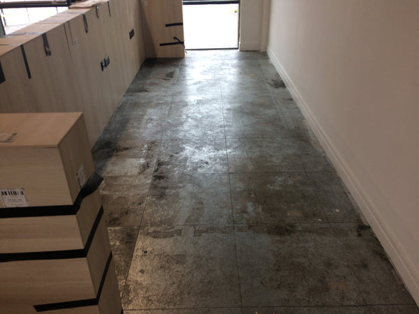 Before photo 2