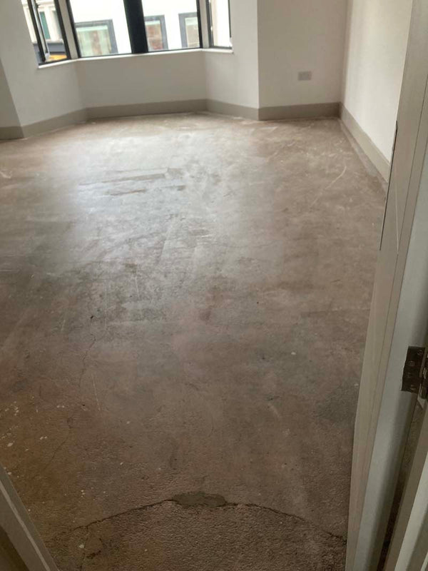 Before photo 4