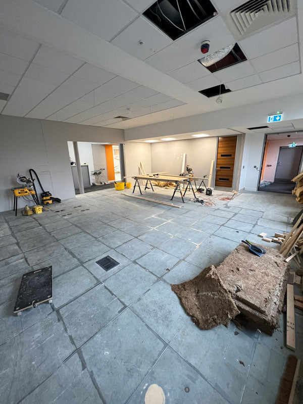 Before photo 2