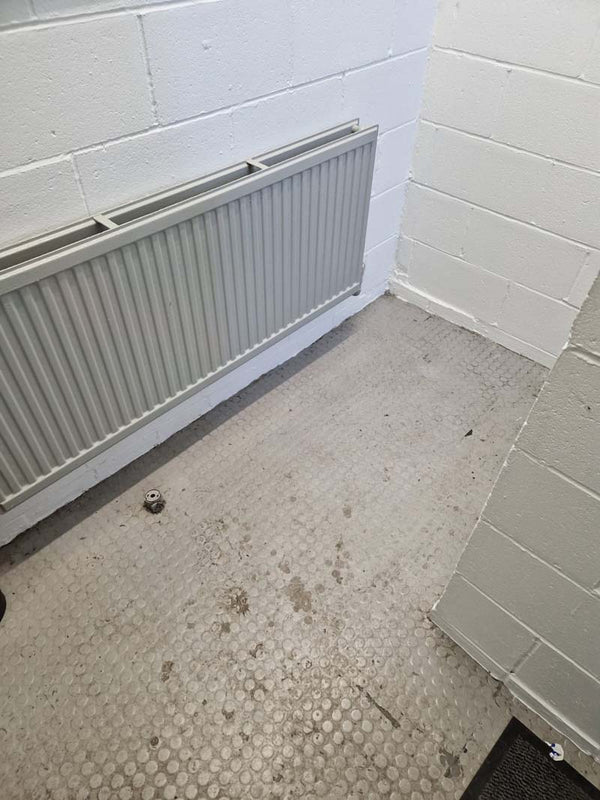 Before photo 3