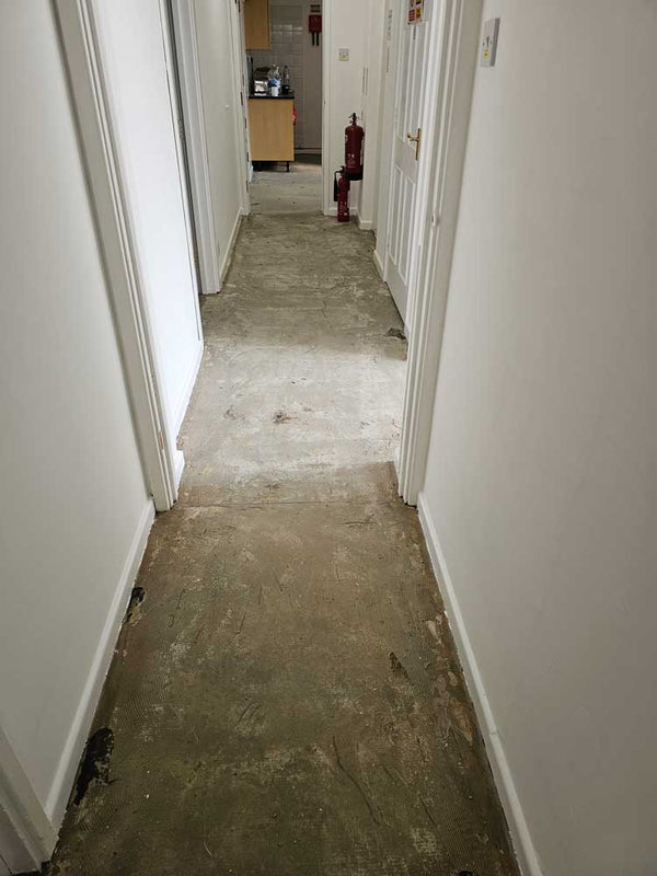 Before photo 2