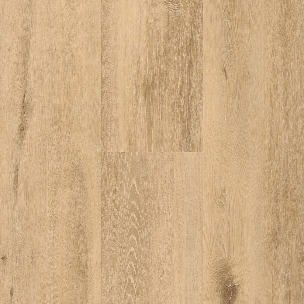 BerryAlloc Spirit Soul 55 - Allegra XL Plank Gluedown LVT from DCTUK
