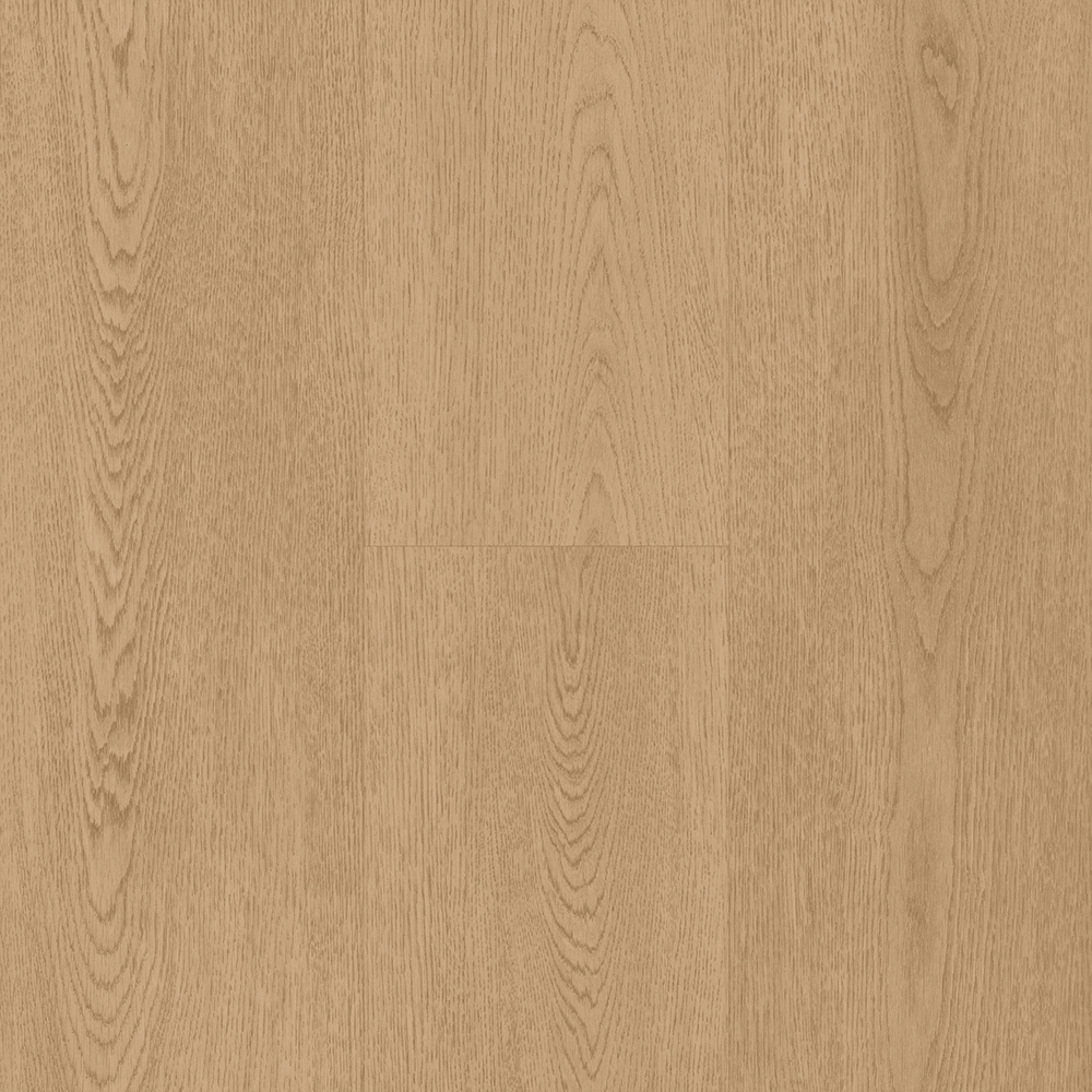 BerryAlloc Spirit Soul 55 - Eliza XL Plank Gluedown LVT from DCTUK
