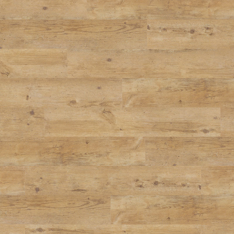 Polyflor Expona Control Gluedown  - Blond Country Plank 6501