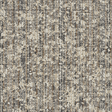 bound-to-last_fossil_va1
