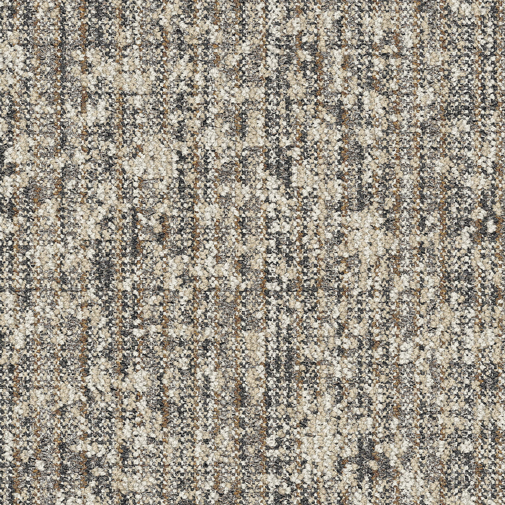 bound-to-last_fossil_va1