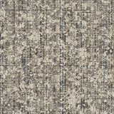 bound-to-last_fossil_va1