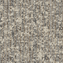 bound-to-last_fossil_va1