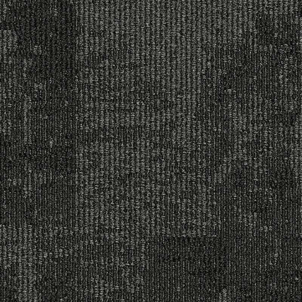 34501 Polar Black