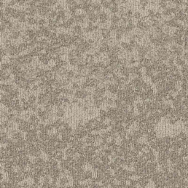 35501 soft neutral