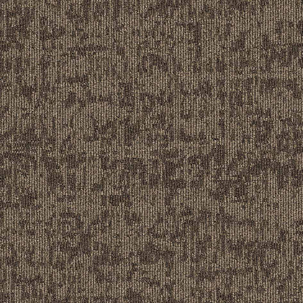 35604 autumn leaf