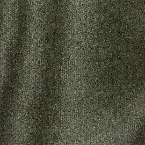 Fern 12172