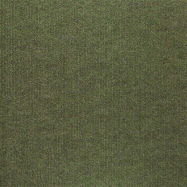 Sagebrush 12171