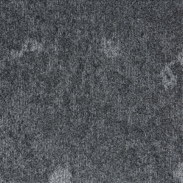 Grey Zephyr 34303