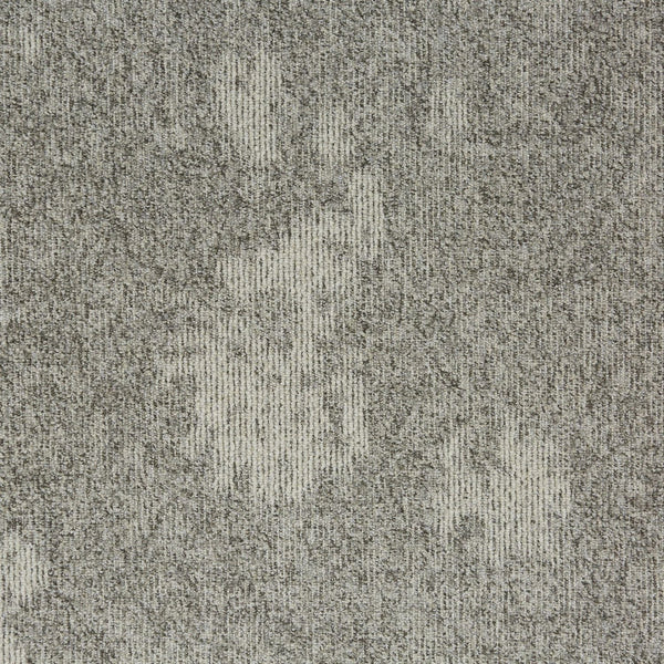Spring Seed 34305