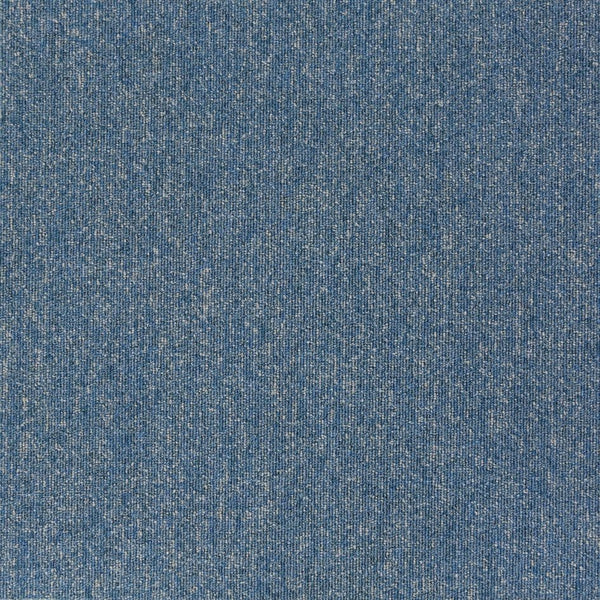 21810 Sky Blue