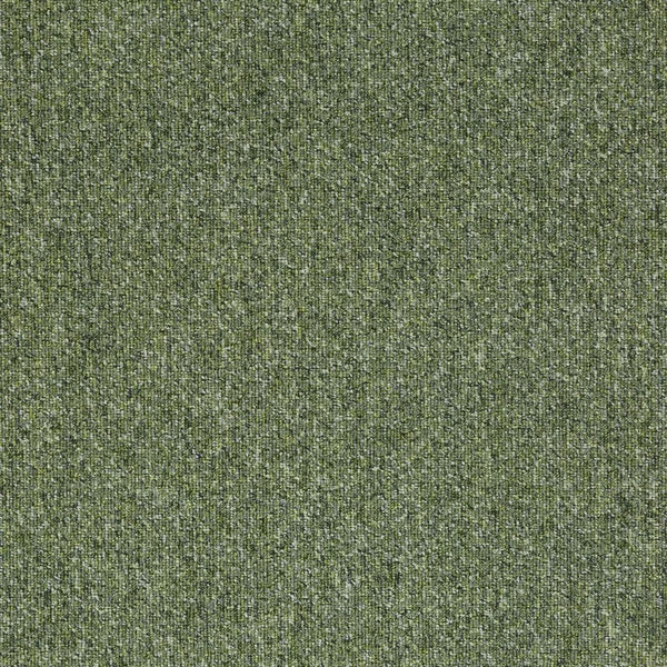 21818 Moss Green