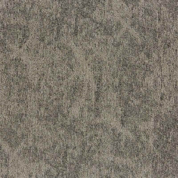 22802 Sesame