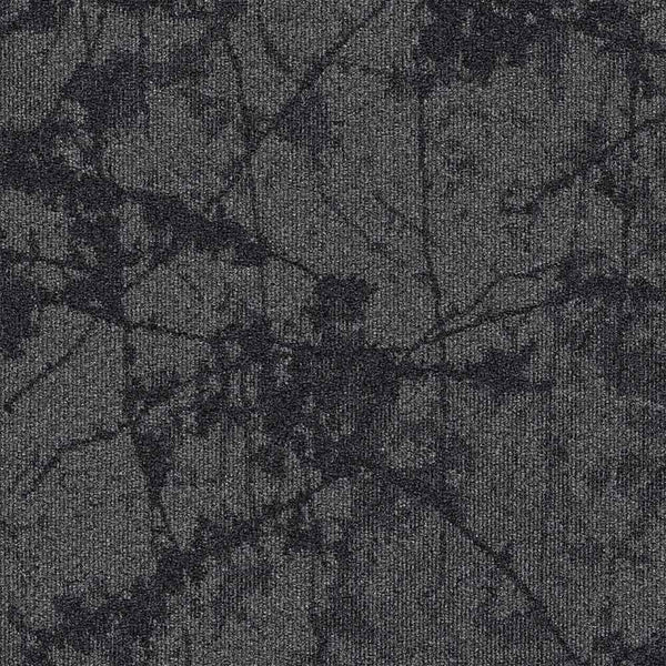 36104 Imprint