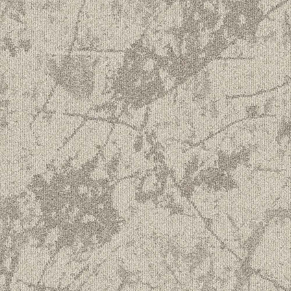 36106 Tectonic