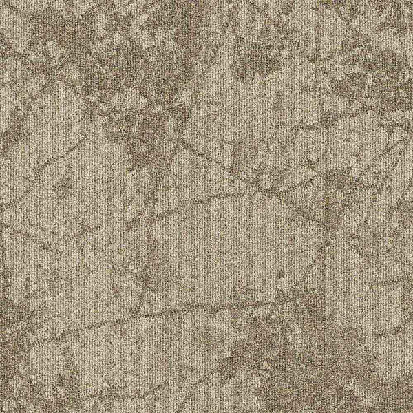 36107 Fragment