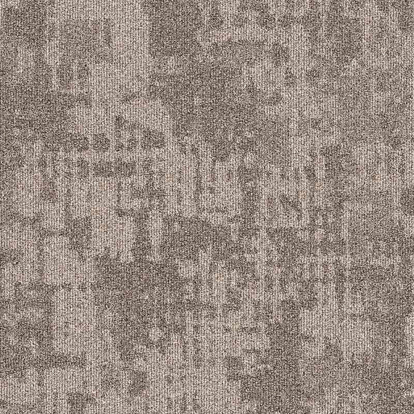 Ancient Earth 35916