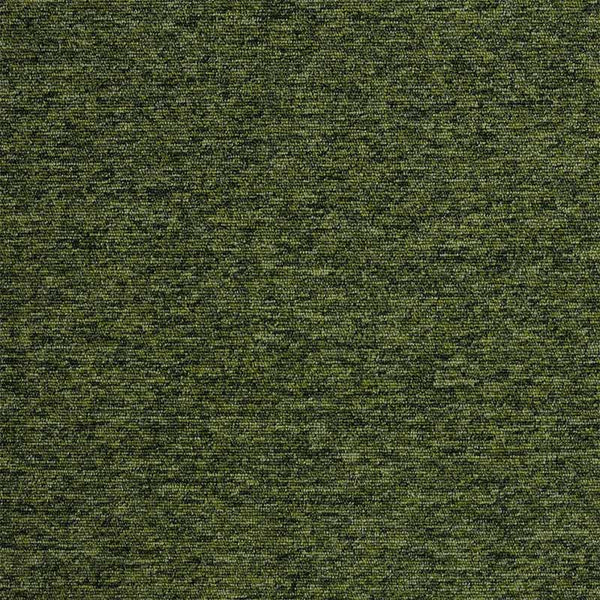 Guyana Moss 21101