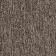 Carus 1010 650 Carpet Tiles from DCTUK
