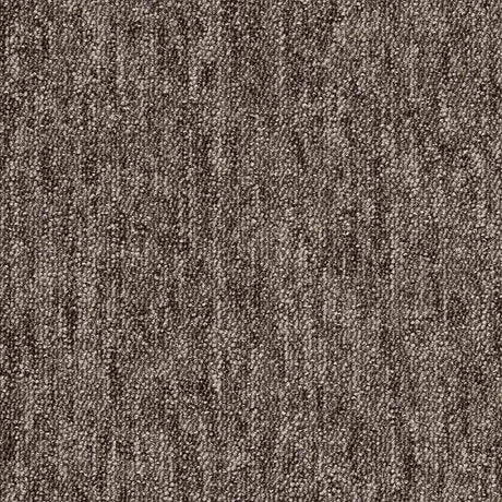 Carus 1010 650 Carpet Tiles from DCTUK