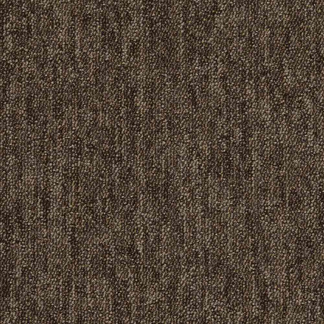 Carus 1010 780 Carpet Tiles from DCTUK