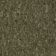 Carus 3110 270 Carpet Tiles from DCTUK