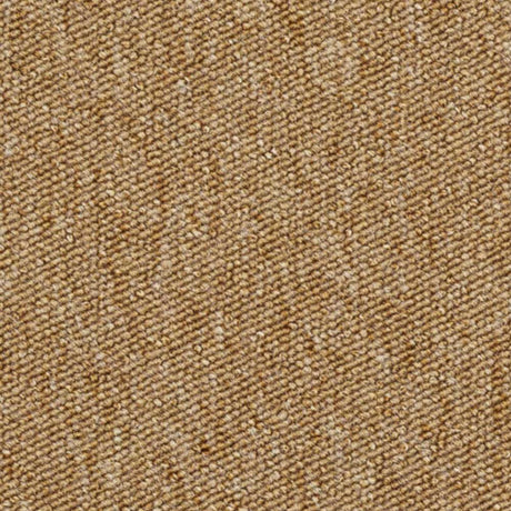 Carus 3110 320 Carpet Tiles from DCTUK
