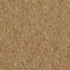Carus 3110 320 Carpet Tiles from DCTUK