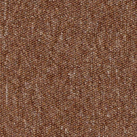 Carus 3110 430 Carpet Tiles from DCTUK